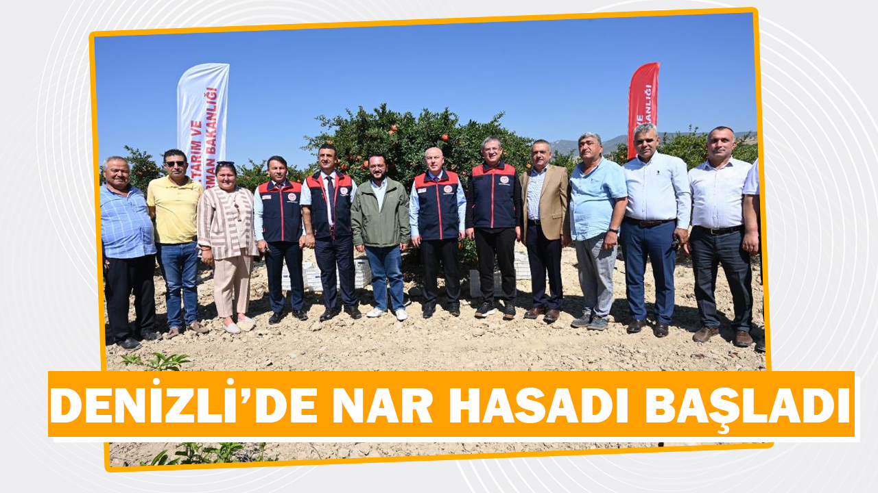 Denizli Irlıganlı'da Nar Hasadı Başladı