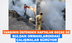 Buldan'daki Yangının Dumanı Hala Tütüyor