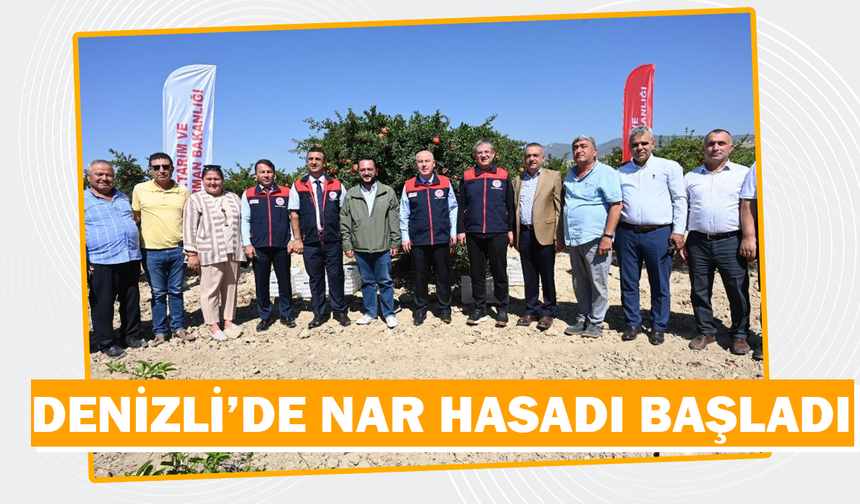 Denizli Irlıganlı'da Nar Hasadı Başladı